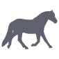 icono-serv-caballos